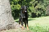 BEAUCERON 074